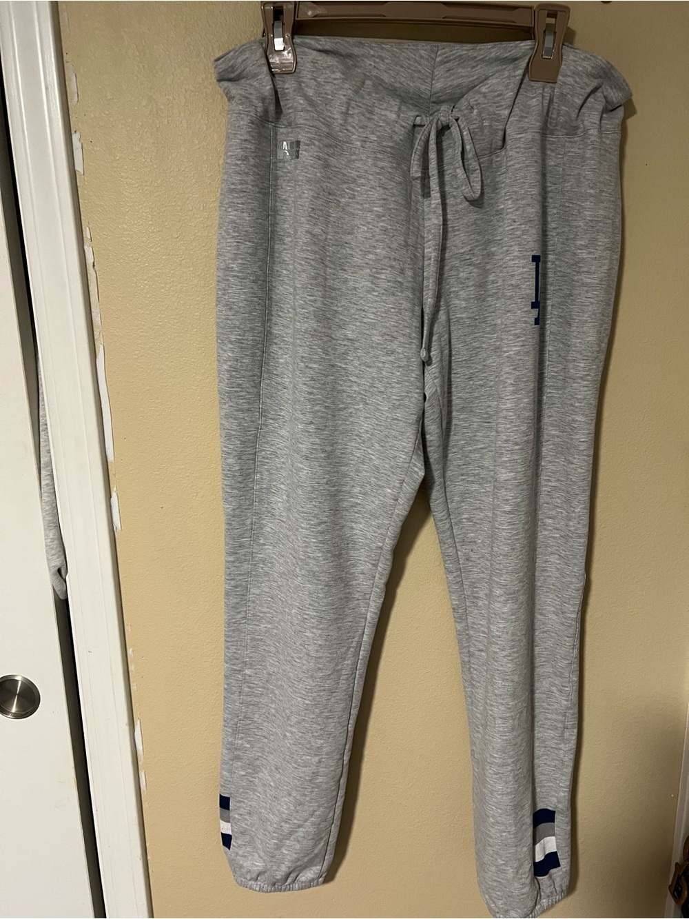 Women's Light Gray Drawstring Joggers with Navy Stripe Detail